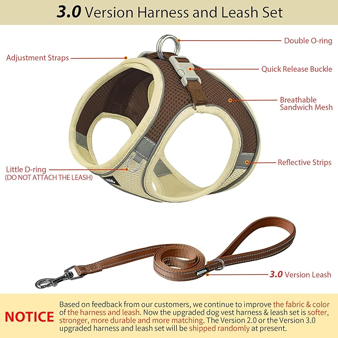 AIITLE Small Harness for Puppy with A Leash - Summer Dog Vest Harness with Super Breathable Mesh, Reflective No-Pull Pet Harness for Outdoor Walking, Camping for Small Dogs, Cats Beige XXS