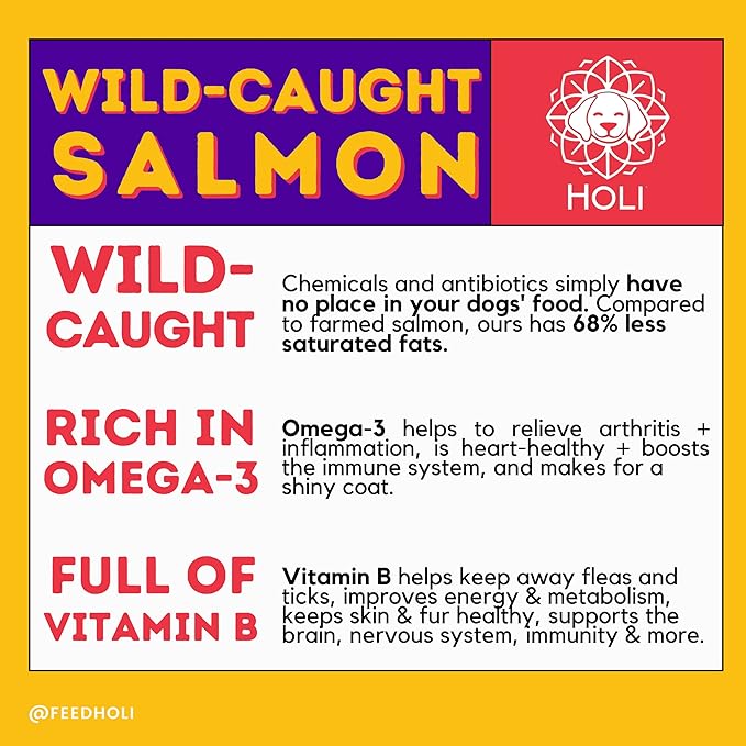 HOLI Freeze Dried Salmon Dog Food Topper - with Omega 3 & 6 - Single Ingredient, Human-Grade Wild Caught Salmon - Dog Food Flavor Enhancer for Picky Dogs – 100% All Natural - 1.5oz