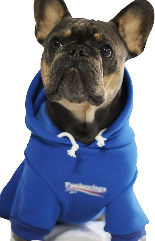 ChoChoCho Stylish Streetwear Blue Dog Sweatshirt Tracksuits, Cats Hoodies, Dog Outfit for Cat Puppy Small Medium (4XL)
