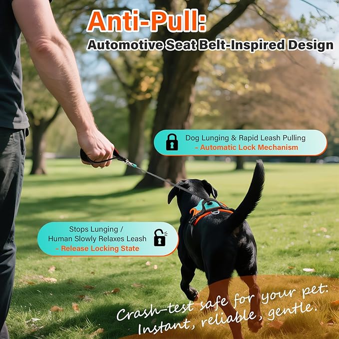 No Pull Dog Harness, 2 in 1 Retractable Harness with Auto-Lock, Reflective Breathable Mesh and Handle, Adjustable Leash Set for Small, Medium,Large Dogs,Cats (Color 1, XL)