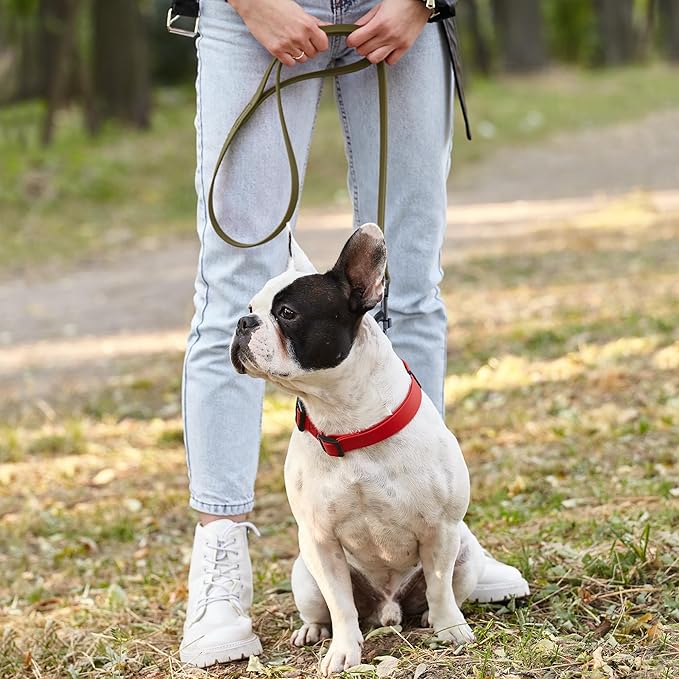Dogline Biothane Waterproof Dog Leash Strong Coated Nylon Webbing with Black Hardware Odor-Proof Easy to Clean High Performance for Small or Large Dogs Made in USA 2 ft Lead, Olive Drab Green