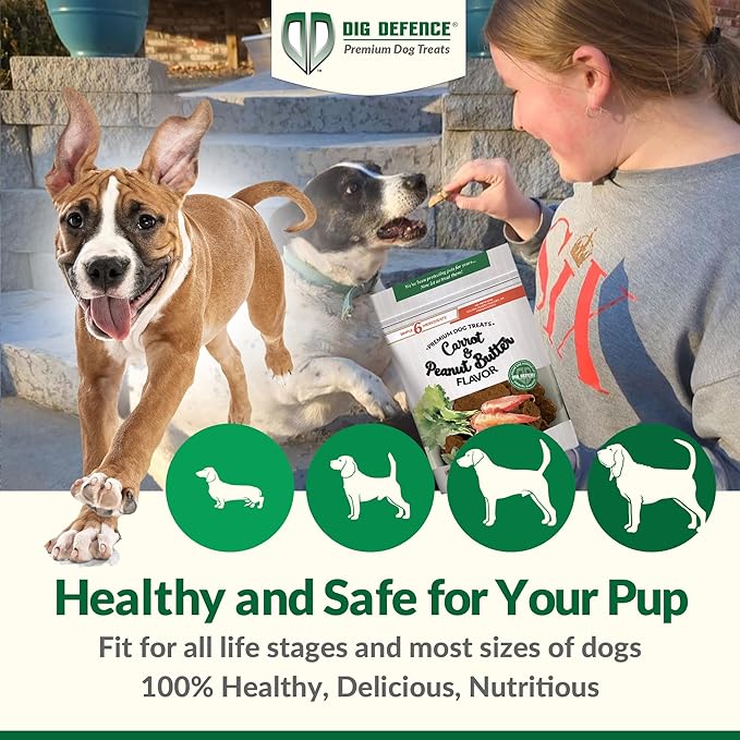 Dig Defence Premium Dog Treats - Carrot/Peanut Butter and Blueberry/Banana, Natural Ingredients, Baked Gourmet Snacks for Small & Big Dogs, Healthy Training Treat, 2 Pack