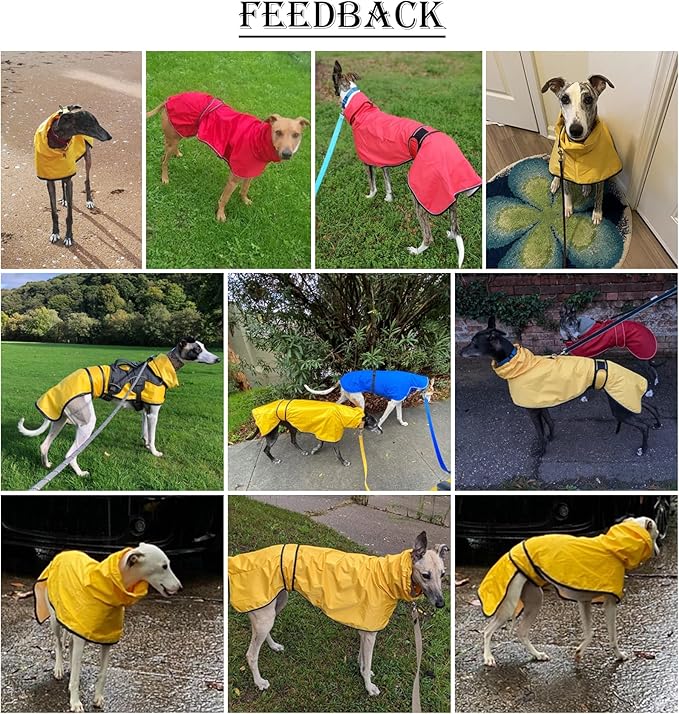 Dog Raincoat with Reflective Bar, Rain/Water Resistant, Adjustable Vest - Dog Raincoats for Greyhounds, Lurchers and Whippets - Yellow - XXL