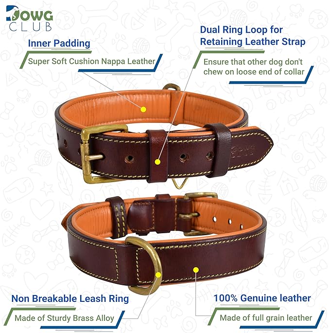 Leather Dog Collar | Leather Collar for Small Dogs, .75 Inch Wide Dog Collar Brown | Genuine, Full Grain, Heavy Duty, Comfortable, Inner Padding (Small (Fit Neck Size 11.5"-14.5"), Brown)
