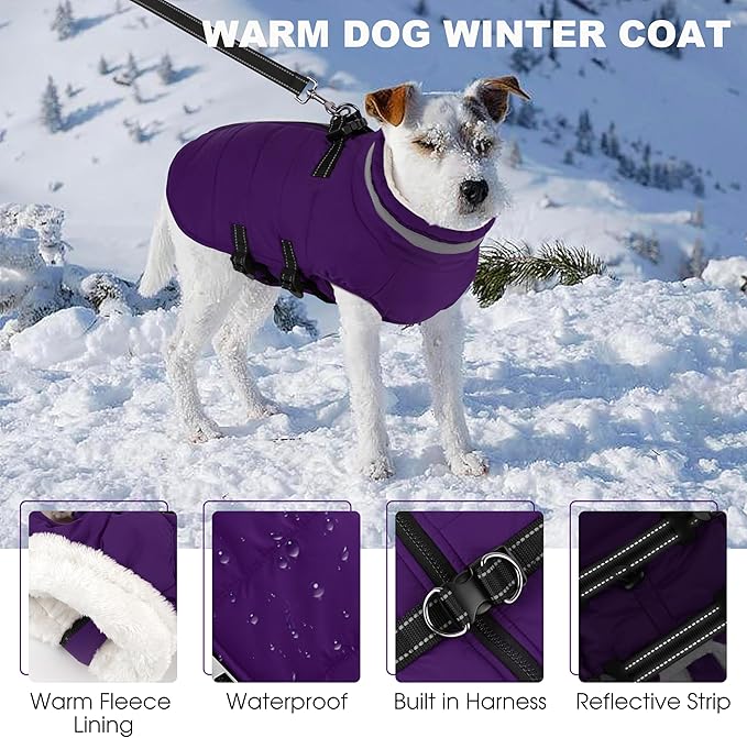Medium Dog Coat with Harness Built-in, Waterproof Reflective Fleece Lined - Warm Windproof Winter Jacket with Back Zipper, Cold Weather Snow Dog Coats - Purple - M