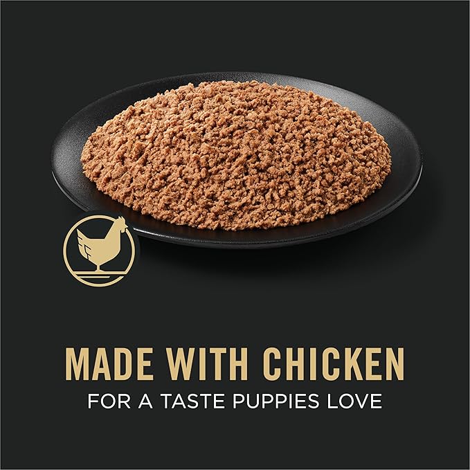Purina Pro Plan Grain Free Wet Puppy Food, Classic Chicken Entrée - (Pack of 12) 13 oz. Cans