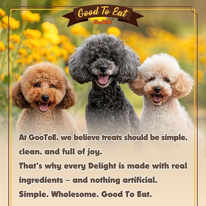 Gootoe Turkey Tendons for Dogs – All-Natural, Hypoallergenic Dog Treats, Rawhide Alternative, Long Lasting Puppy Chews, Healthy Dog Treats for Small Breeds, Strips, 3 oz Pack