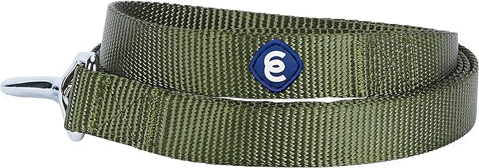 Blueberry Pet Essentials Military Green Dog Leash for X-Small -5' * 3/8" Dogs | Heavy Duty Nylon Lead | Lightweight Puppy & Cat Leash for Walking & Training