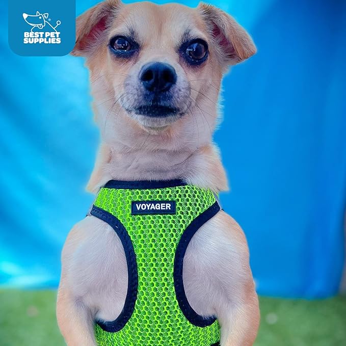 Best Pet Supplies Voyager Step-in Air Harness - All Weather Mesh, Reflective, No Pull Harness for Dogs, Cats - Secure with Hook & Loop Fastener, Buckle, Double D-Rings - Tone, M
