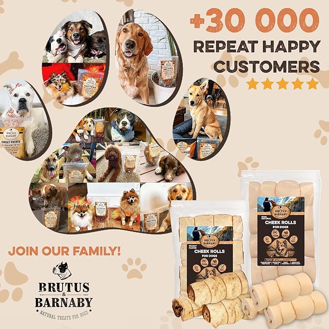 Premium Beef Cheek Rolls for Dogs 10-12" - (10-Pack), Peanut Butter Flavored Long Lasting, Safe & Natural Rawhide Alternative Chews, Ideal for Large Dogs & Aggressive Chewers, Supports Dental Health