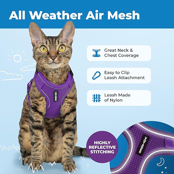 Voyager Escape Proof Cat Harness and Leash Set with Reflective Stitching, Neoprene Handle 5ft - Supports Small, Medium and Large Cats, Kittens for Walking by Best Pet Supplies - Purple, XS