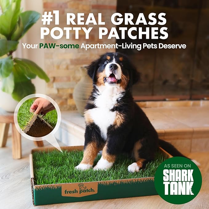 Fresh Patch Mini Real Grass Patch for Dogs, Cats, and Small Pets Under 8 Pounds – Disposable Pet Grass Pee Pads – Indoor and Outdoor Potty Training Mat (12 Inches x 16 Inches)