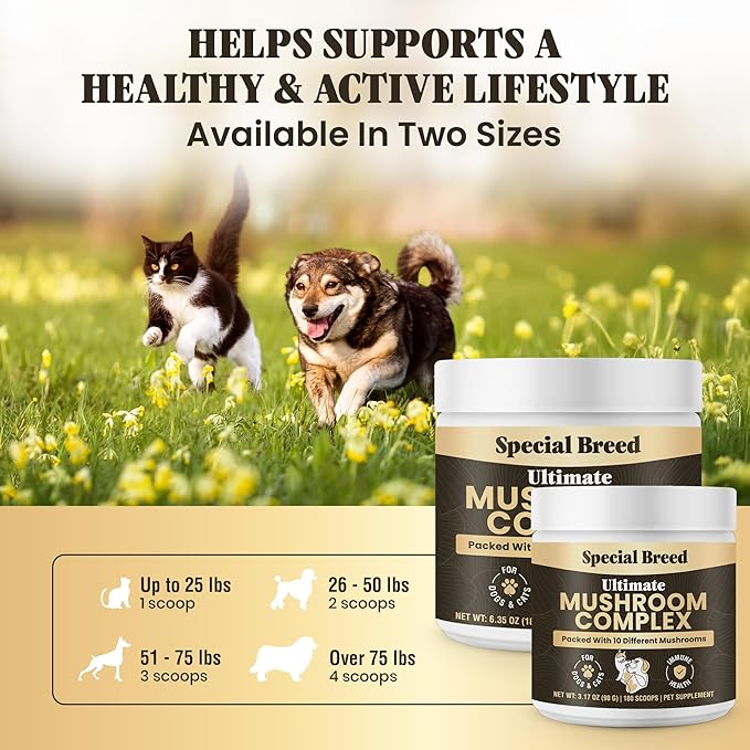 Mushroom Powder for Dogs & Cats - Organic Mushroom Complex for Immunity Support, Immune Function, Cognition, Vitality - Ten Mushroom Supplement with Turkey Tail, Lion's Mane, Reishi - 360 Scoops