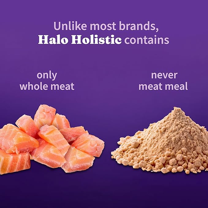 Halo Holistic Indoor Cat Food Dry, Grain Free Wild-caught Salmon & Whitefish Recipe for healthy weight support, Complete Digestive Health, Dry Cat Food Bag, Adult Formula, 6-lb Bag