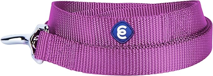 Blueberry Pet Essentials Violet Dog Leash for Small -5' * 5/8" Dogs | Heavy Duty Nylon Lead | Lightweight Puppy & Cat Leash for Walking & Training