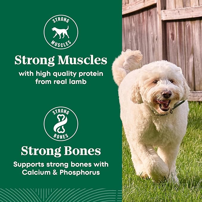 Nutro Natural Choice Lamb & Brown Rice Adult Dry Dog Food Recipe, 5 lb. Bag