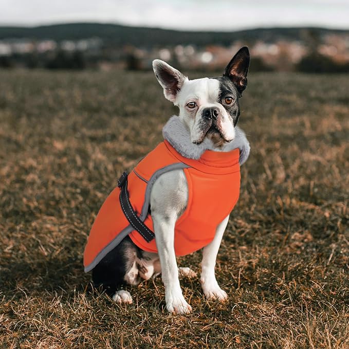 Lelepet Warm Dog Winter Coat Reflective Dog Jacket Fleece Vest Waterproof Windproof Cold Weather Coats with Adjustable Buckle Plush Turtleneck Pet Snowsuit for Small Medium Large Dogs,Chihuahua,XS