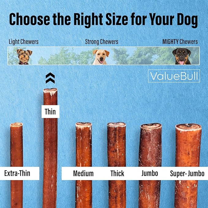 ValueBull Bully Sticks for Small Dogs, Thin 6 Inch, 25 Count - All Natural, Grass Fed, Single Ingredient, Long Lasting Dog Treats