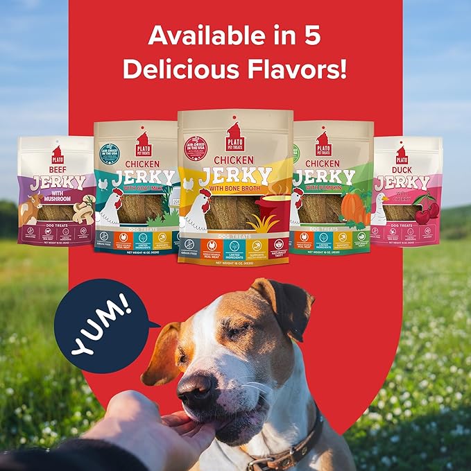 PLATO Pet Treats Jerky Dog Treats - Air-Dried Jerky for Dogs - Delicious, Real Meat Dog Treats - Grain Free - Supports Healthy Digestion - Chicken Jerky with Bone Broth 16oz