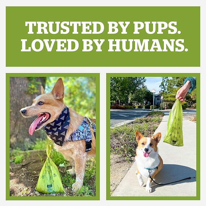 Pogi’s Dog Poop Bag Dispenser – Holder with Metal Carabiner for Leashes, Includes 15 Fresh Scented Bags