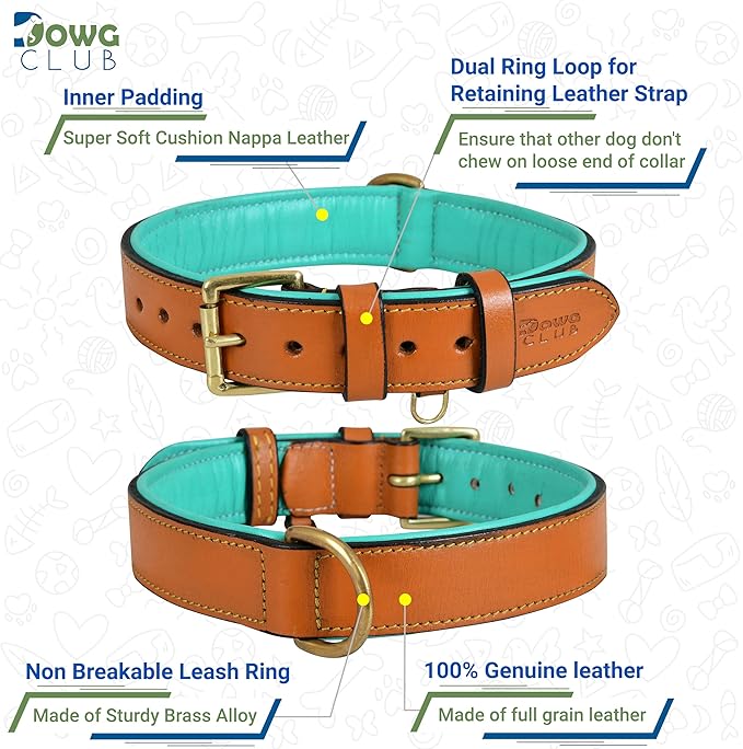 Leather Dog Collar | Dog Collar for Extra Large Dogs, 1.5 Inch Wide, Tan | Genuine, Full Grain, Heavy Duty, Comfortable, Inner Soft Padding (X-Large (Fit Neck Size 22"-26"), Tan)