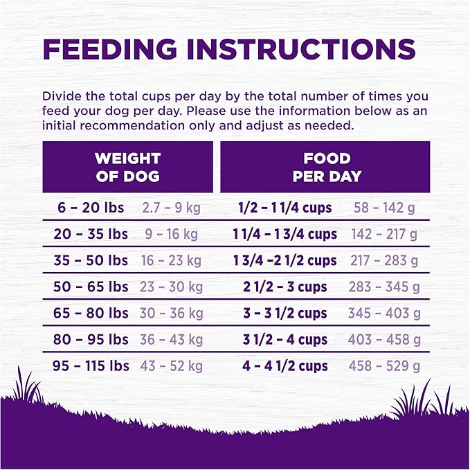 Wellness Complete Health Senior Dry Dog Food with Grains, Chicken & Barley, 15-Pound Bag