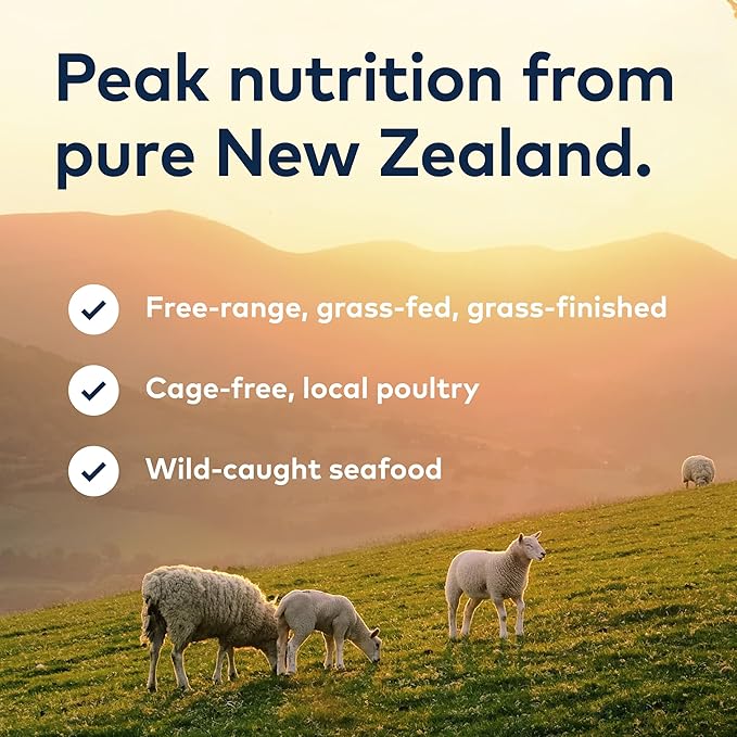 ZIWI Peak Wet Cat Food – All Natural, High Protein, Grain Free, Limited Ingredient, with Superfoods (Beef, Case of 24, 3oz Cans)