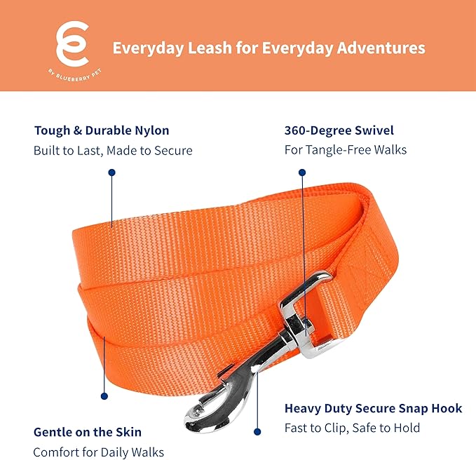 Blueberry Pet Essentials Florence Orange Dog Leash for Medium - 5' * 3/4" Dogs | Heavy Duty Nylon Lead | Lightweight Puppy & Cat Leash for Walking & Training