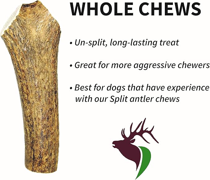 Large Whole Twin Pack (for 35-65 lb Dogs) Premium Grade Elk Antlers for Dogs (2 Pieces) Sourced in The USA