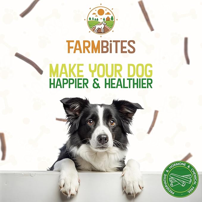 Bully Sticks for Dogs – 100% Natural, Odor-Free, Air-Dried Beef Pizzle, Grain-Free & Fully Digestible Dog Chews – Long Lasting Treats for All Breeds (6 Inch, 25 Pack)
