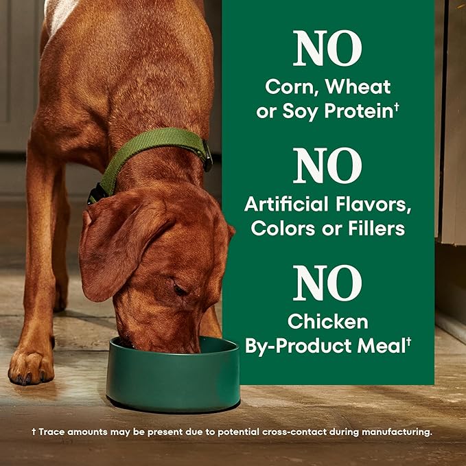 Nutro Natural Choice Chicken & Brown Rice Adult Dry Dog Food Recipe, 36 lb. Bag