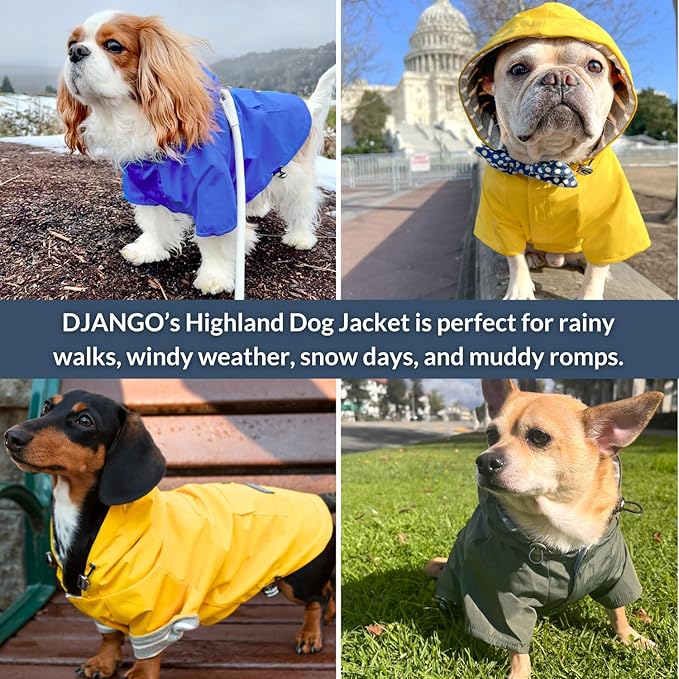 DJANGO Highland Dog Jacket & Raincoat – Water-Repellent, Lined Dog Coat with Hood, Adjustable Fit & Harness Hole – Lightweight Rain & Wind Jacket for Small & Medium Dogs up to 30 lbs (Yellow, Large)