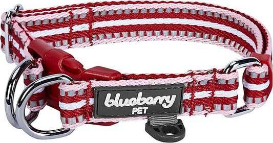 Blueberry Pet Safety Dog Collar with Dual D-Rings | 3M Reflective Multi-Colored Adjustable Collar in Marsala Red and Pink | Soft Nylon Dog Collar for Active Small Dogs