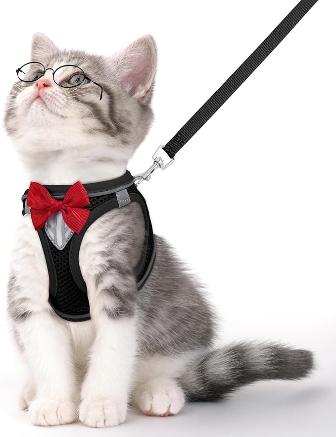 Cat Vest Harness and Leash Set for Walking Escape Proof, Adjustable Kitten Harness Breathable Mesh with Reflective Strips Harness for Kitty Puppy Bunny (Black,S)
