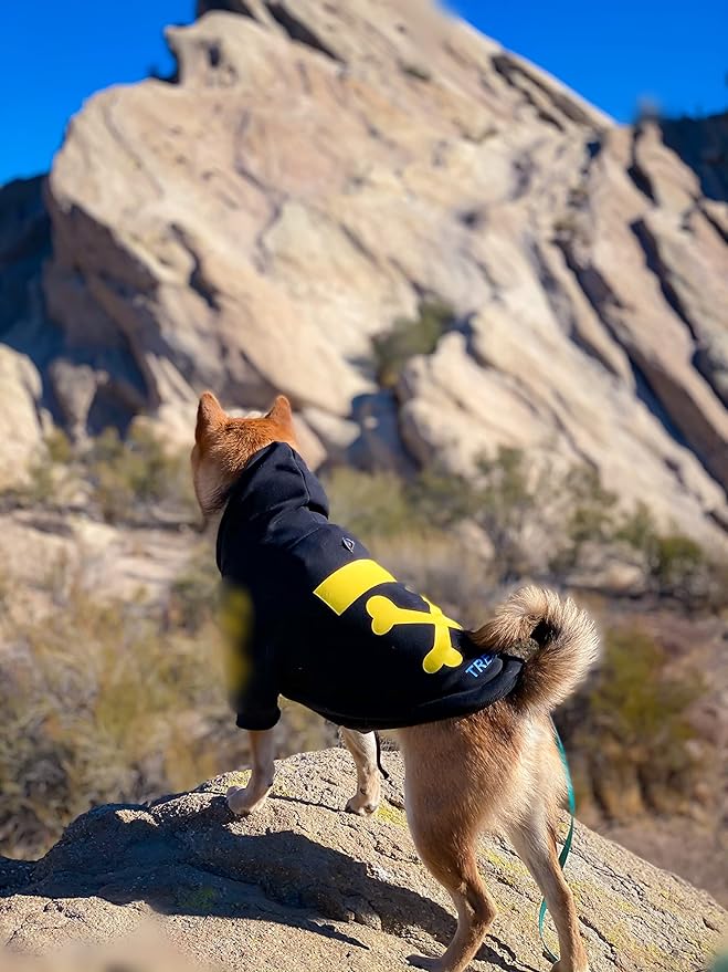ChoChoCho Stylish Dog Hoodie Dog Clothes Streetwear Cotton Sweatshirt Fashion Outfit for Dogs Cats Puppy Small Medium Large (3XL, Yellow)