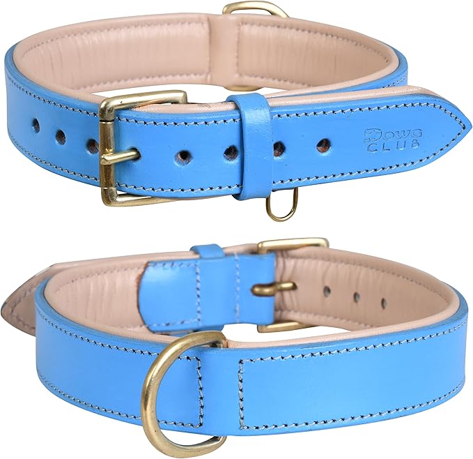 Genuine Leather Dog Collar | Full Grain, Heavy Duty, Comfortable, Padded, Strong | Best for Pups, Small, Medium, Large & XL Breeds (Small (Fit Neck Size 11.5"-14.5"), Blue)