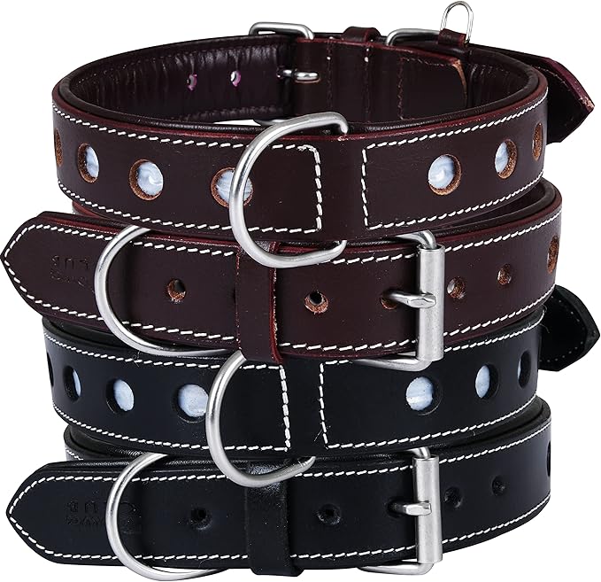 | Genuine Leather Dog Collar | Full Grain, Heavy Duty | Comfortable, Padded, Strong | Best for Pups, Small, Medium, Large & XL Breeds (Large (Fit Neck Size 18.5"-22.5"), Garnet)