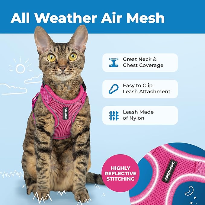 Best Pet Supplies Voyager Escape Proof Cat Harness and Leash Set with Reflective Stitching, Neoprene Handle 5ft - Supports Small, Medium and Large Cats, Kittens - Fuchsia, M (Chest: 16.5-19.5")