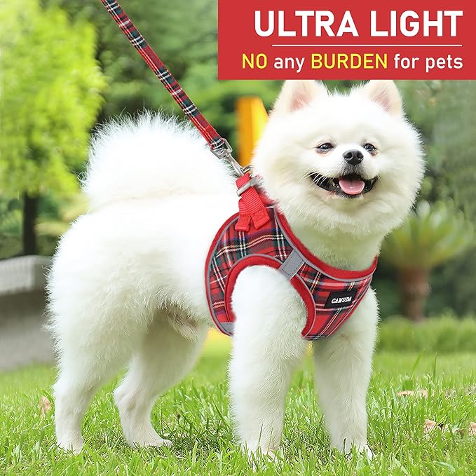 GAMUDA Small Dog Harness Collar and Leash Set, Step in No Chock No Pull Soft Mesh Adjustable Dog Vest Harnesses Plaid Reflective for Dogs Puppy Cats Kitten Rabbit (Red, M)