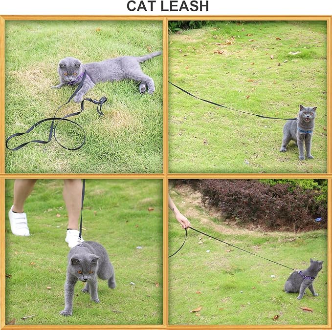 AMAGOOD 6 FT Cat Leash, Strong and Durable Traditional Style Leash with Easy to Use Collar Hook,Cat Lead Great for Cats (3/8 in x 6 ft,Black and Pruple(2-Pack))
