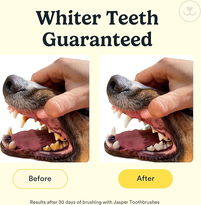 Jasper Dog Toothbrush, 360 Degree Pet Tooth Brushing Kit, Cat Toothbrush, Canine Dental Care & Teeth Cleaning Kit, Pet Finger Tooth Brush, Use with Dog Toothpaste, 2-Pack Pink