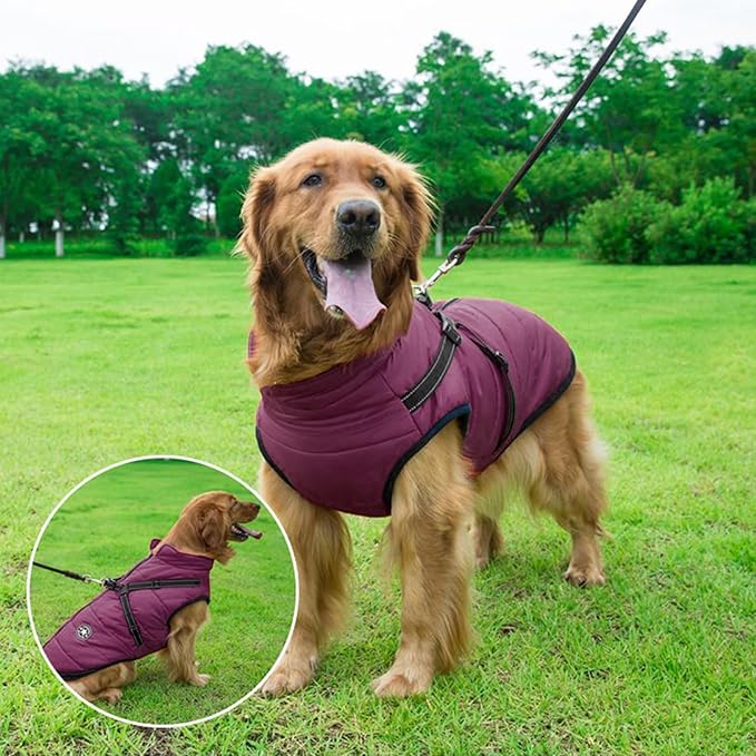 Aiboria Dog Jackets for Winter Windproof Waterproof 2 in 1 Outfit Cold Weather Coat Dog Vest Harness Puppy Winter Warm Jacket Purple XXL