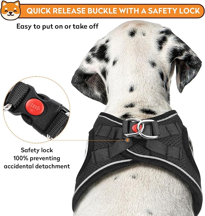 Dog Harness with Leash Set, No-Pull Step-in Reflective Pet Harness with 1 Leash Clips, Adjustable Soft Padded Easy Walk Dog Vest for Small Medium Large Dogs, Cats(Carbon Black, Small)