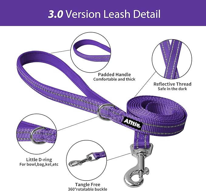 AIITLE Step in Dog Harness and Leash Set - Summer No Pull Escape Proof Vest Harnesses with Soft Mesh and Reflective Bands, Adjustable Pet Outdoor Harnesses for Small and Medium Dogs Purple M