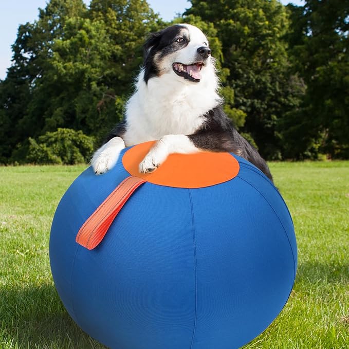 Dog Herding Ball for Dogs & Puppies, Toy Balls for Cattle, Australian Shepherd, Non-Chewing Activities, Medium Dog Toy | Oxford Fabric Cover, Pump, with Patch Repair Kit (18inch)