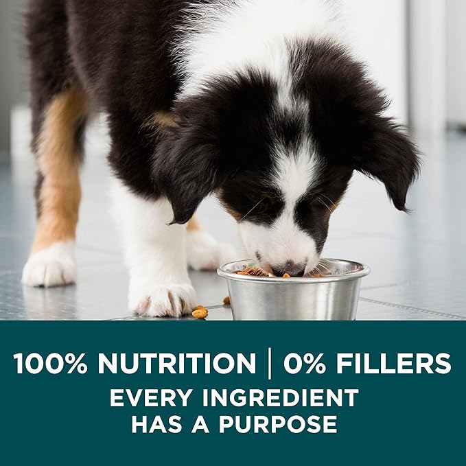 Purina ONE Plus Large Breed Puppy Food Dry Formula - 40 lb. Bag