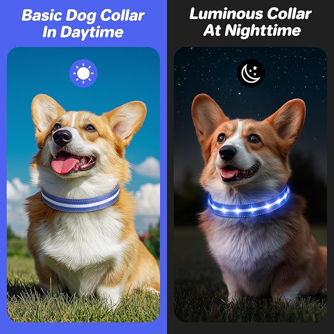 PcEoTllar Light Up Dog Collars, Led Dog Collar, Rechargeable, Night Walking, Waterproof, Glow in The Dark Dog Collars Light for Large Small Medium Dogs, Blue l
