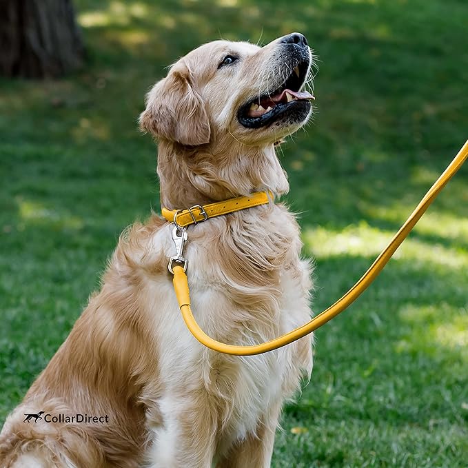 CollarDirect Rolled Leather Dog Collar, Soft Padded Round Puppy Collar, Handmade Genuine Leather Collar Dog Small Large Cat Collars 13 Colors (8-11 Inch, Yellow Textured)