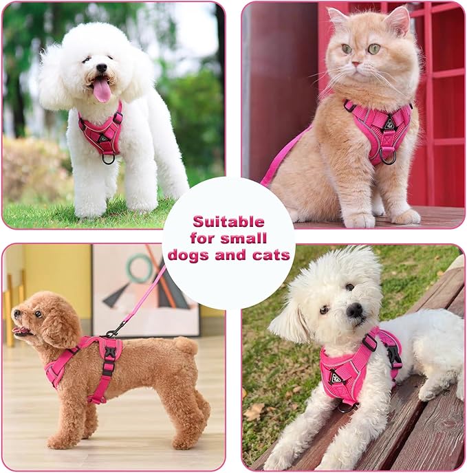 SOLMOONY Small Dog Harness,Soft Mesh Puppy Harness and Leash Set,No Escape Cat Harnesses for Training Walking,Reflective Adjustable Puppy Vest for Small Medium Dogs, Cats (Hot Pink, XL)