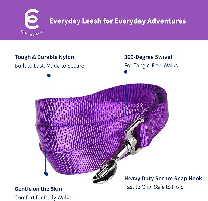 Blueberry Pet Essentials Dark Orchid Dog Leash for Large - 4' * 1" Dogs | Heavy Duty Nylon Lead | Lightweight Puppy & Cat Leash for Walking & Training